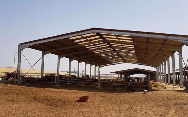 Lightweight steel frame structures for sale -SHANDONG SINOACME STEEL